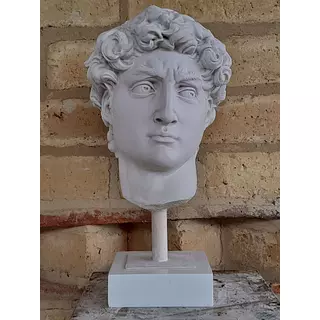 Cabeza Del David De Miguel Ángel