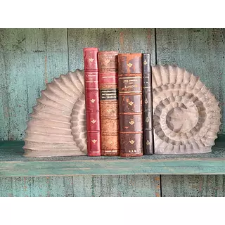 Tranca Libros Amonita Tallado En Madera
