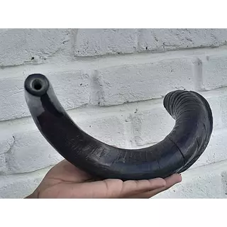 Cuerno De Shofar Kosher Kudu De Israel