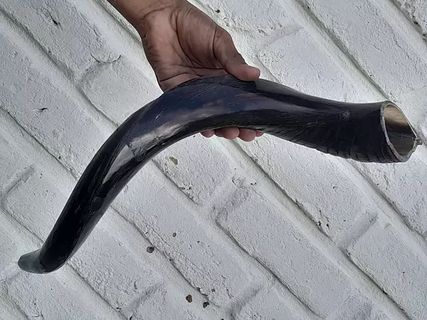 Cuerno De Shofar Kosher Kudu De Israel