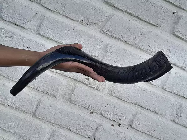 Cuerno De Shofar Kosher Kudu De Israel