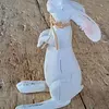 Conejo Blanco Pequeño