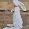 Conejo Blanco Pequeño