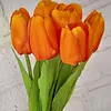 Paquete Tulipanes X 7 Flores