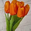 Paquete Tulipanes X 7 Flores