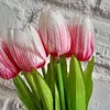 Paquete Tulipanes X 7