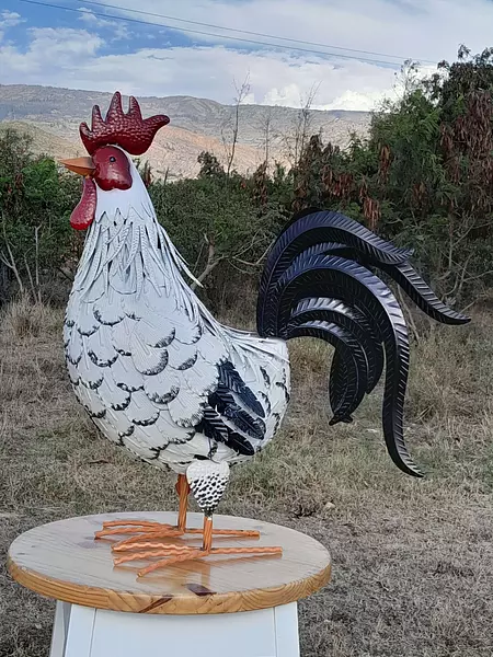 Gallo Supergigante