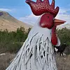 Gallo Supergigante