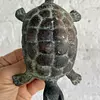 Aldaba En Forma De Tortuga