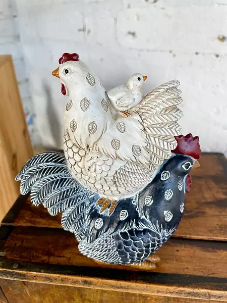 Gallo Gallina Y Pollito