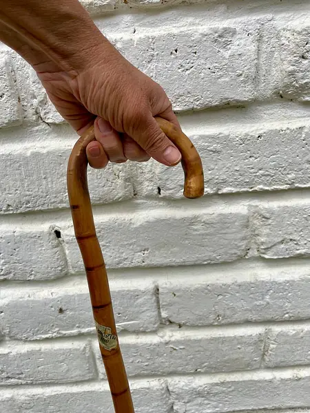 Bastón Nudillos Con Punta Metálica Y Mango Curvado.