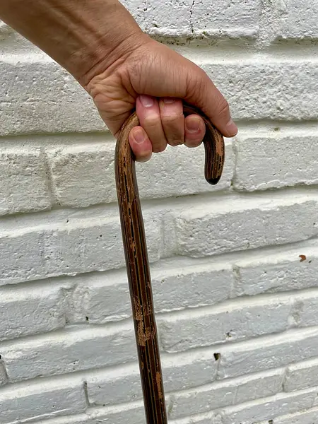 Bastón De Madera Con Mango Curvado