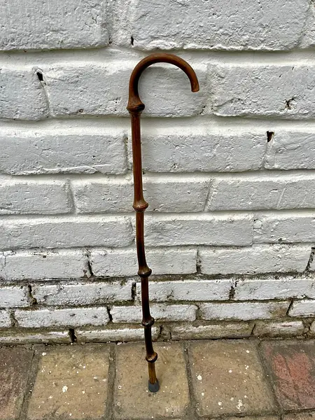 Bastón De Caña De Bambú Con Nudillos.