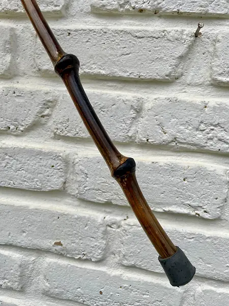 Bastón De Caña De Bambú Con Nudillos.