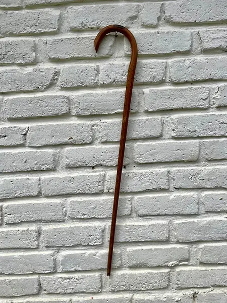 Bastón Artesanal Mango Curvado.