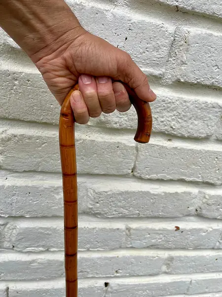 Bastón Antiguo De Bambú Con Mango Curvado.