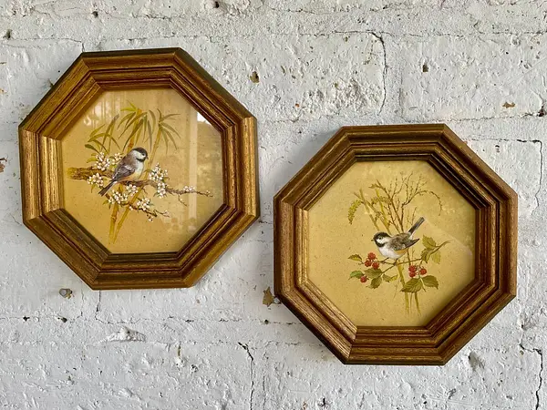 Cuadros Octogonales De Pájaros Carboneros - U.S.A. 1980