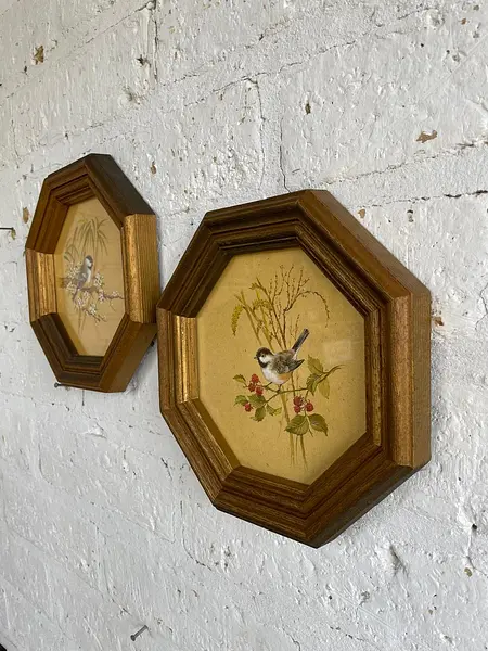 Cuadros Octogonales De Pájaros Carboneros - U.S.A. 1980