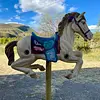 Caballo Carrusel Sobre Pedestal - 1960