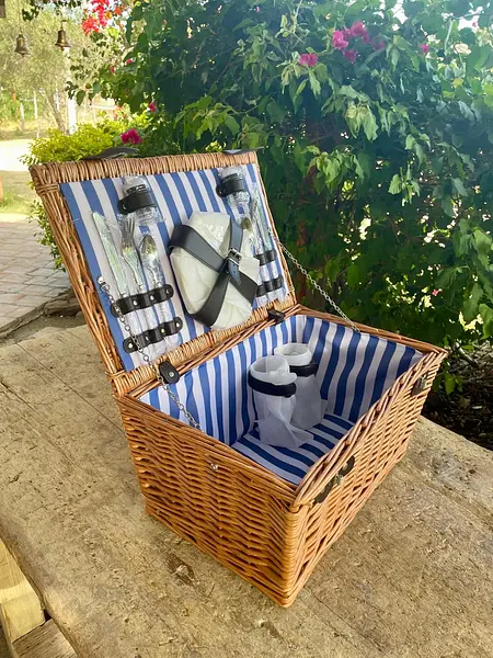 Canasta De Picnic Southern Living En Mimbre Con Manija