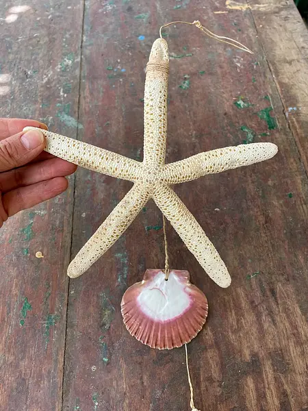 Guirnalda Marina - Filipinas