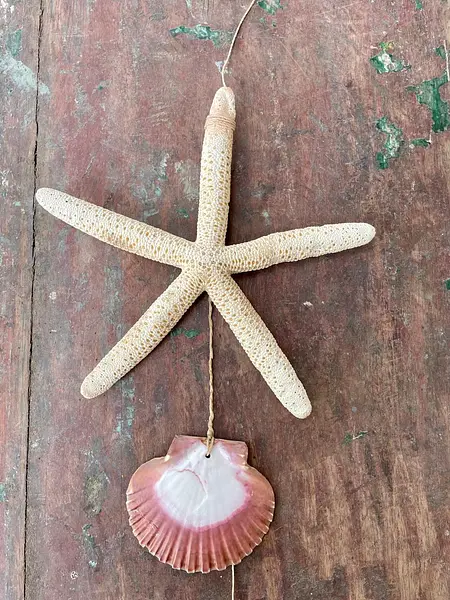 Guirnalda Marina - Filipinas