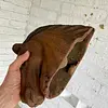Cabeza De Caballo En Hierro Fundido - Colombia 2000