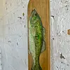 Óleo Sobre Madera Lubina De Florida - U.S.A. 1995