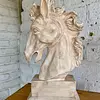 Cabeza De Caballo En Resina