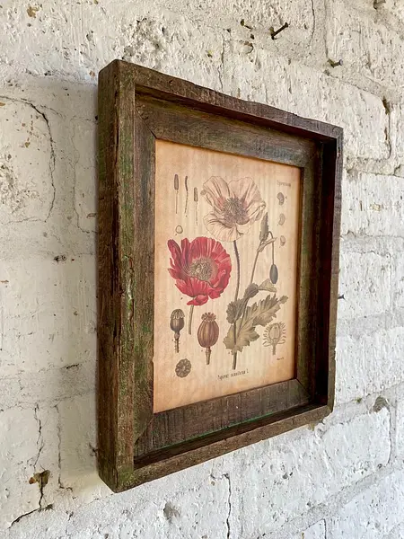 Cuadro Lámina Planta Medicinal Con Marco Rústico