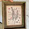 Cuadro Lámina Planta Medicinal Con Marco Rústico