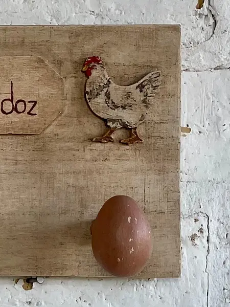 Perchero De Pared Con Ganchos En Forma De Huevo