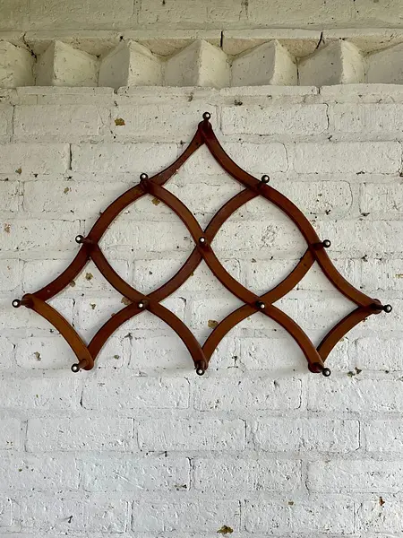 Perchero Expandible Ajustable 13 Colgadores - U.S.A. 1880