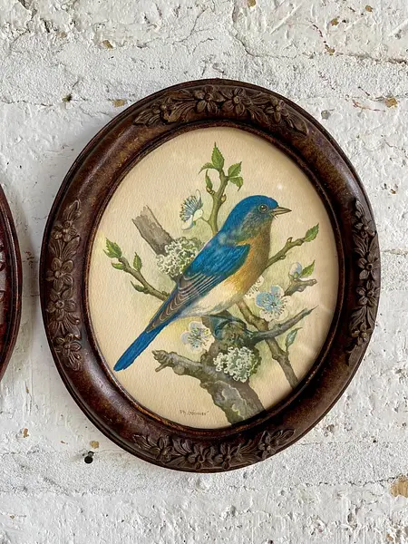 Cuadros Litografía De Pájaros P.H. Gonner, - U.S.A. 1960