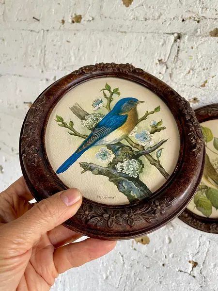 Cuadros Litografía De Pájaros P.H. Gonner, - U.S.A. 1960