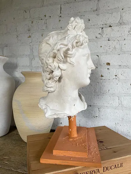 Apolo De Belvedere En Yeso