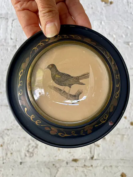 Cuadros Vidrio Convexo Peter Watson Studio Inc - U.S.A. 1940