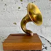 Amplificador Acústico Para Teléfono Móvil - U.S.A. 2025