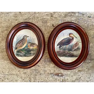 Cuadros De Aves X 2 Con Moldura Ovalada - Europa 1940