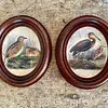 Cuadros De Aves X 2 Con Moldura Ovalada - Europa 1940