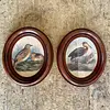 Cuadros De Aves X 2 Con Moldura Ovalada - Europa 1940