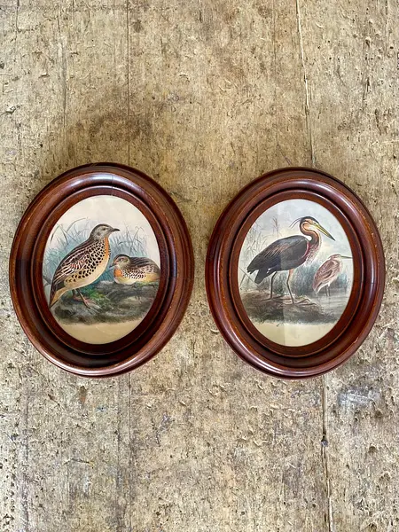 Cuadros De Aves X 2 Con Moldura Ovalada - Europa 1940