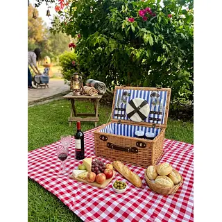 Canasta De Picnic Southern Living En Mimbre Con Manija