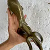 Aldaba En Forma De Pez - Malta 1890 - 1900