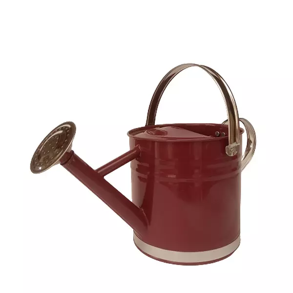 Regadera Metálica Para Jardín