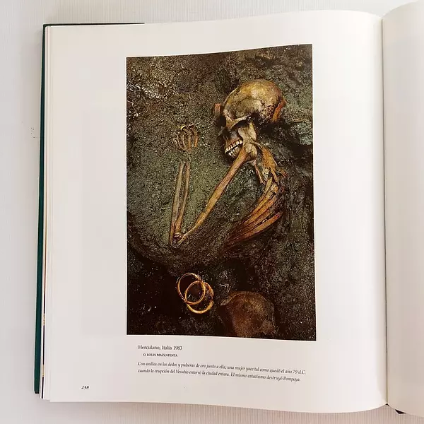 Libro Las Mejores Fotografías De National Geographic 1995