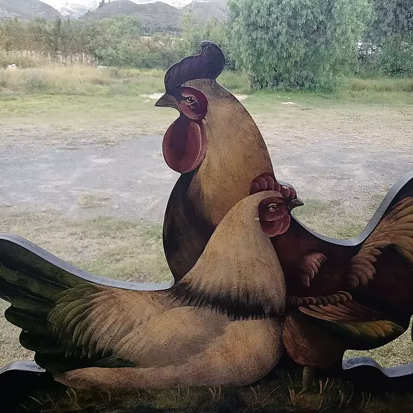 Gallo Gallina Óleo 1970