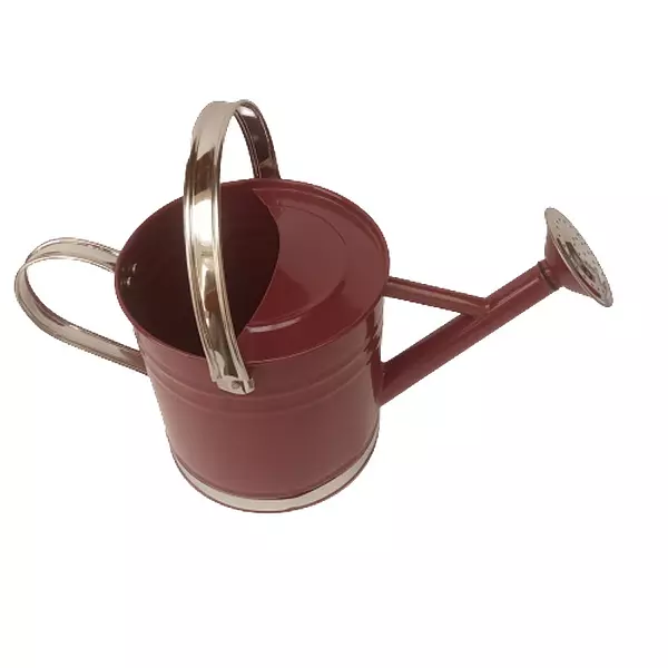 Regadera Metálica Para Jardín