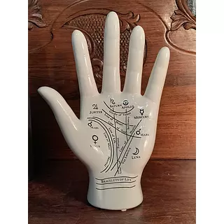 Mano Con Líneas De Vida