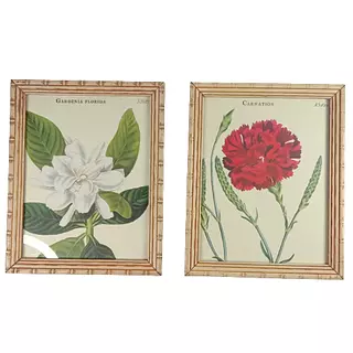 Cuadros Gardenia Y Clavel X 2